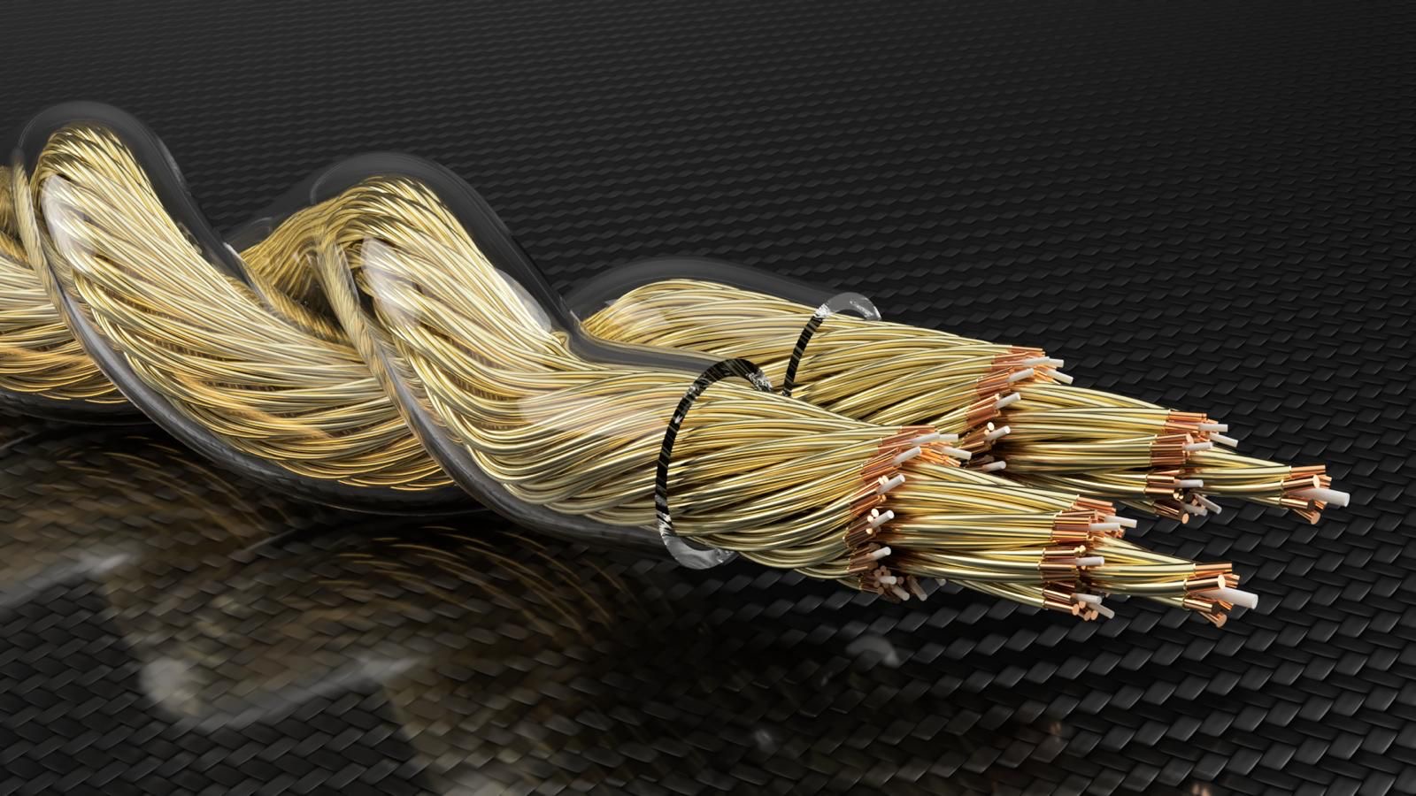 8e1635bd-8ea1-4f27-8924-